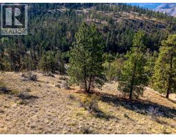 Prpsd Lt 2 47 Street, Okanagan Falls, BC V0H1R5 Photo 60
