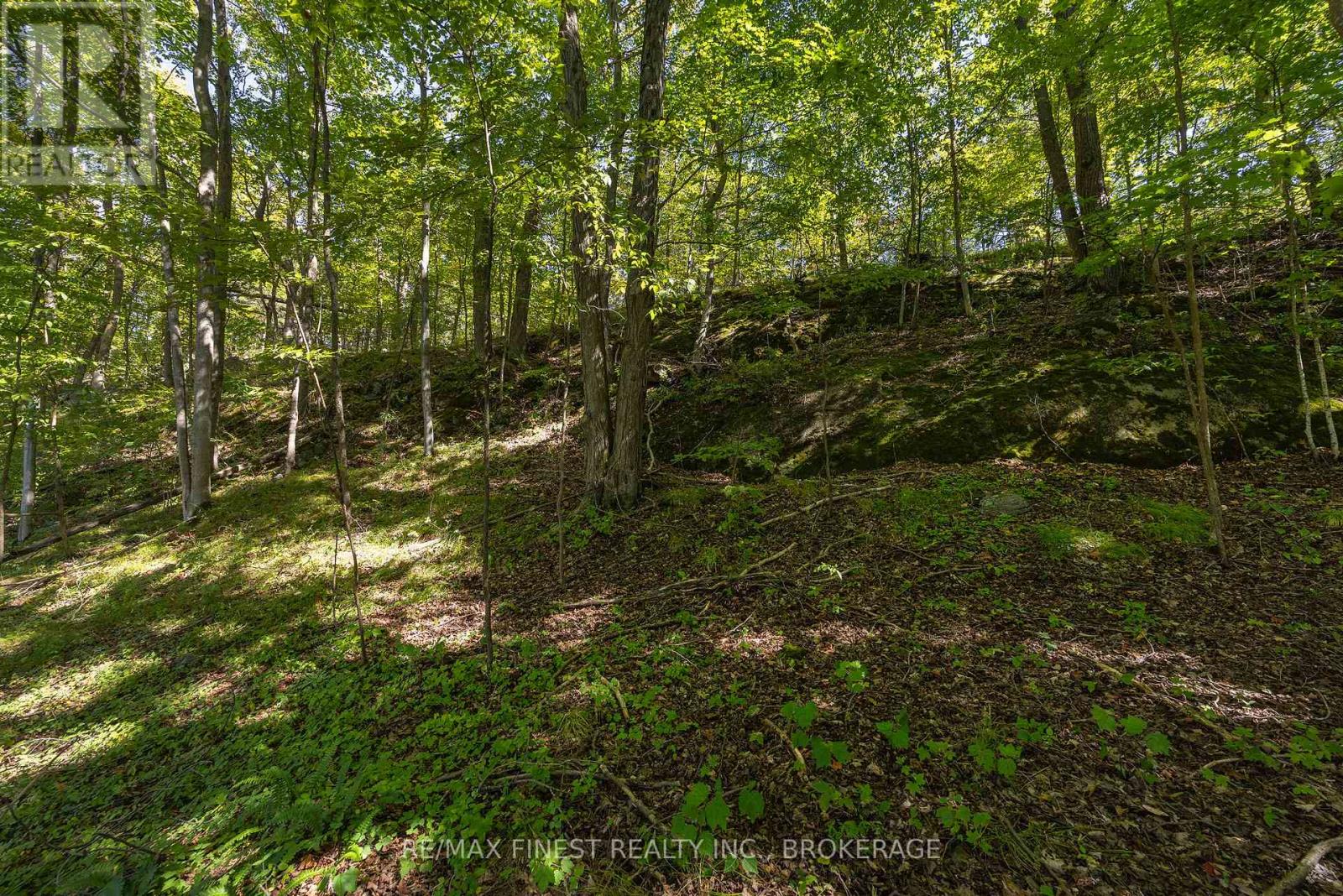 4822 CARRYING PLACE ROAD, Frontenac (Frontenac South) — photo 12