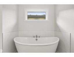 19004 20 Av Nw, Edmonton, AB T6M3E8 Photo 32