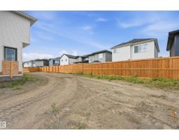 19004 20 Av Nw, Edmonton, AB T6M3E8 Photo 43
