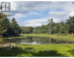101 Maberly Station Road, Tay Valley, ON K0H2B0 Photo 25