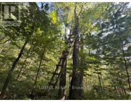 101 Maberly Station Road, Tay Valley, ON K0H2B0 Photo 28