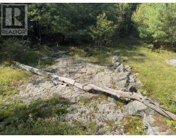 101 Maberly Station Road, Tay Valley, ON K0H2B0 Photo 30