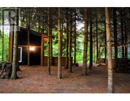 6591 6th Line, New Tecumseth, ON L0G1W0 Photo 32