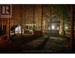 6591 6th Line, New Tecumseth, ON L0G1W0 Photo 38
