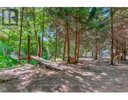 6591 6th Line, New Tecumseth, ON L0G1W0 Photo 46