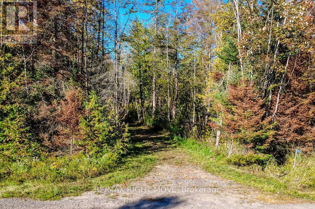 1223 SOUTHWOOD ROAD, Gravenhurst (Morrison) — photo 4