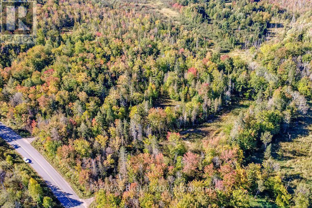 1223 SOUTHWOOD ROAD, Gravenhurst (Morrison) — photo 8