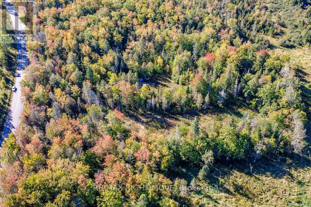 1223 SOUTHWOOD ROAD, Gravenhurst (Morrison) — photo 9