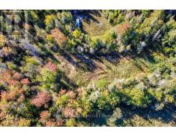 1223 Southwood Road, Gravenhurst, ON P0E1N0 Photo 10