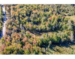 1223 Southwood Road, Gravenhurst, ON P0E1N0 Photo 9