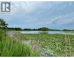 3371 County Road 20, Amherstburg, ON N9V2Y8 Photo 27
