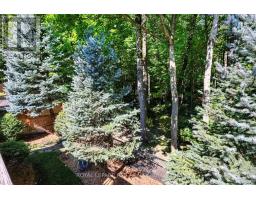 22 Nailsworth Crescent, Caledon, ON L7C1R3 Photo 35