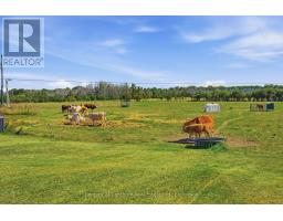 939 Kelly Road, Prince Edward County, ON K0K1P0 Photo 32