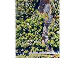 Pt Lt 7 Con 10 Pickerel & Jack Lake Road, Armour, ON P0A1C0 Photo 12