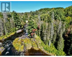 Pt Lt 7 Con 10 Pickerel & Jack Lake Road, Armour, ON P0A1C0 Photo 9