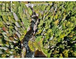 Pt Lt 7 Con 10 Pickerel & Jack Lake Road, Armour, ON P0A1C0 Photo 13