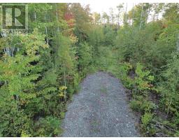 Highway 246, Tatamagouche, NS B0K1V0 Photo 12