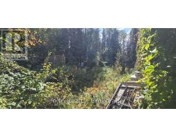 1331 Miller Road, Magnetawan, ON P0A1P0 Photo 6