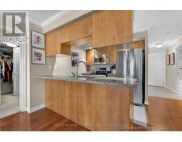 339 - 250 Wellington Street W, Toronto, ON M5V3P6 Photo 11