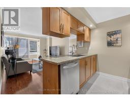 339 - 250 Wellington Street W, Toronto, ON M5V3P6 Photo 13