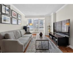 Foyer - 339 - 250 Wellington Street W, Toronto, ON M5V3P6 Photo 6