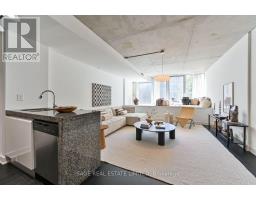215 - 75 Portland Street, Toronto, ON M5V2M9 Photo 13