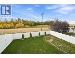 29 Alderwood Close, Blackfalds, AB T4M0L9 Photo 47
