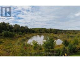 Main Floor - 253 Seaview Heights, East Gwillimbury, ON L9N0Z1 Photo 46