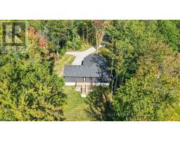 35 Young Street, Kawartha Lakes, ON L0K1W0 Photo 19