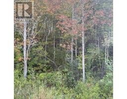 Lot 3 Ohio East Road, St  Joseph, NS B2G2K8 Photo 7