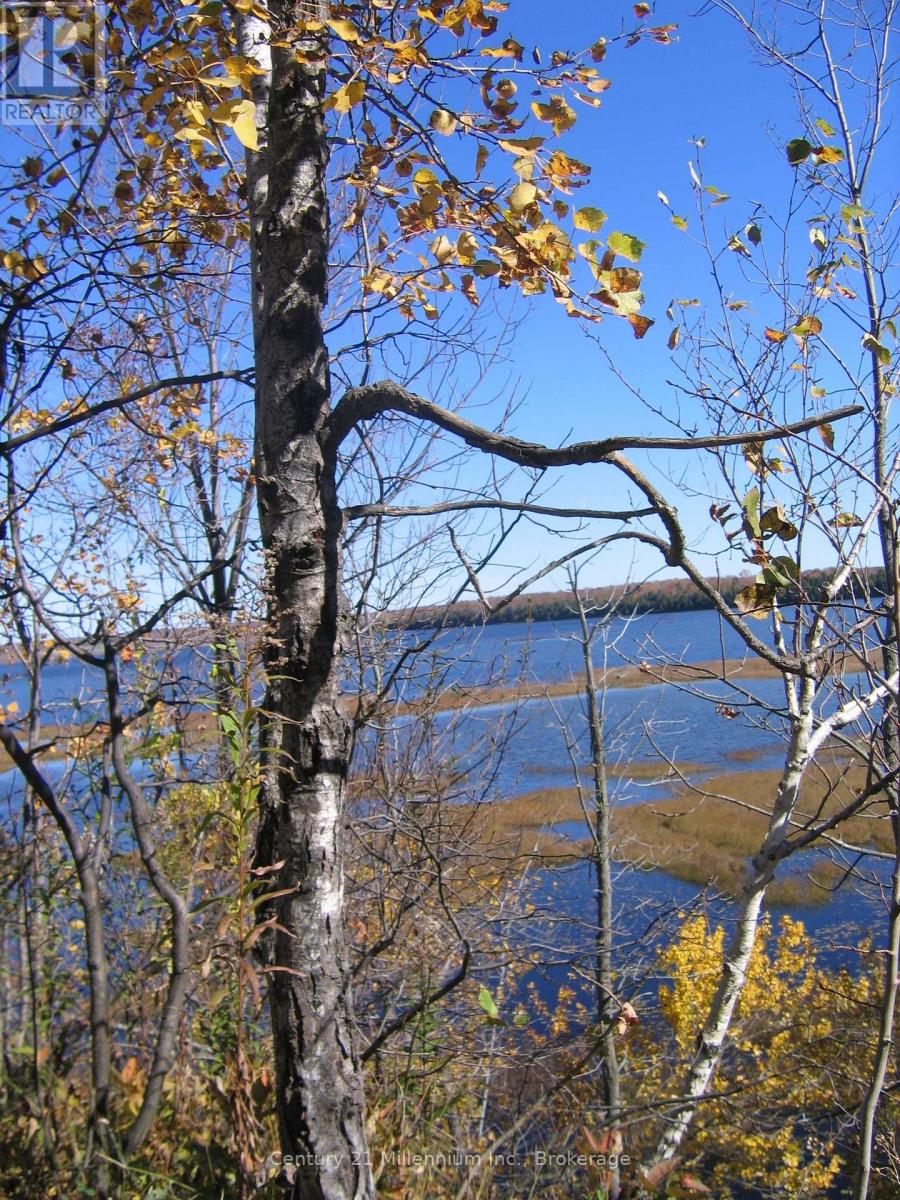 0 LT 26 CON 2 WBR ALBEMARLE CONCESSION, South Bruce Peninsula — photo 2