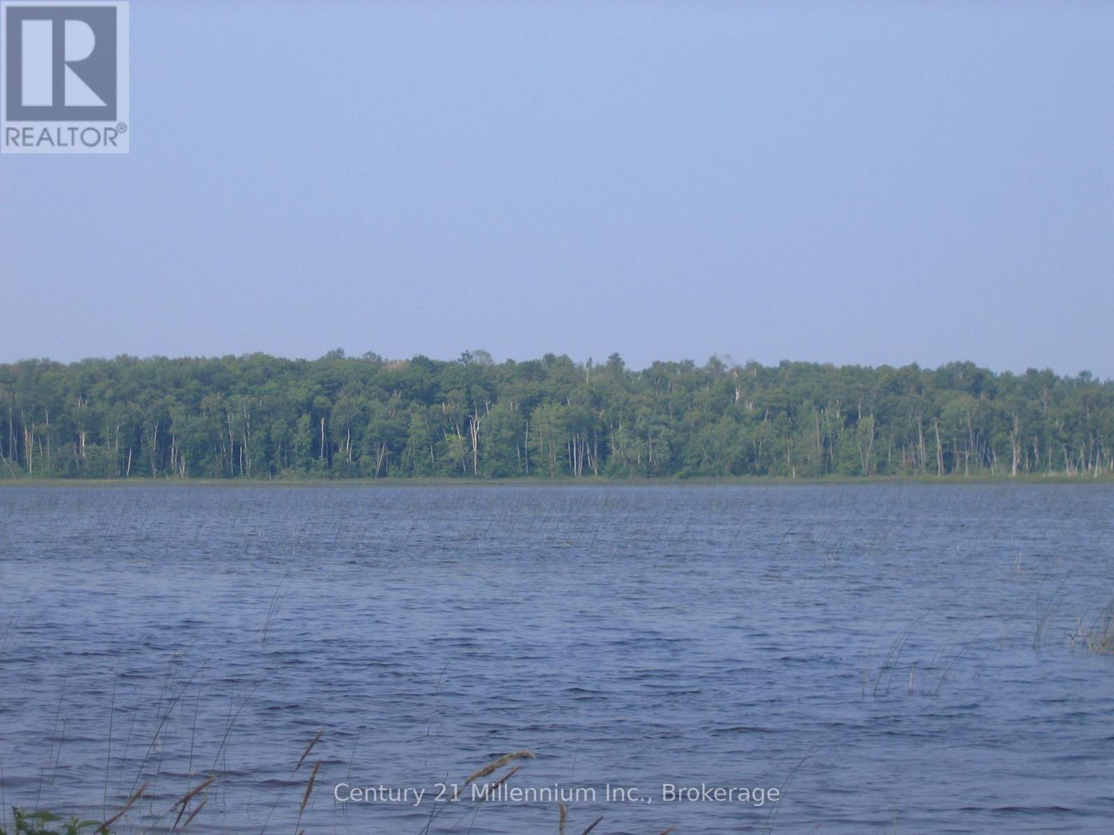 0 LT 26 CON 2 WBR ALBEMARLE CONCESSION, South Bruce Peninsula — photo 4