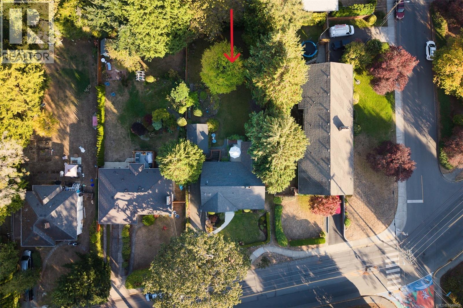 711 Richmond Ave - 51