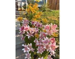 36 Auburn Meadows Link Se, Calgary, AB T3M2E6 Photo 35