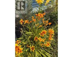 36 Auburn Meadows Link Se, Calgary, AB T3M2E6 Photo 34