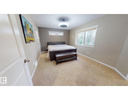 163 Caldwell Wy Nw, Edmonton, AB T6M2X1 Photo 19