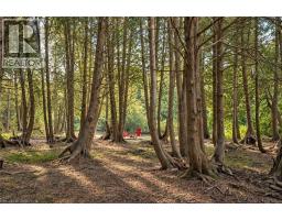 131 Cooks Mill Road, Puslinch, ON N0B2J0 Photo 32