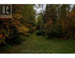 6590 Townline Road, Thunder Bay, ON P7G1W3 Photo 35