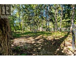 1372 Islington Avenue, Toronto, ON M9A3K6 Photo 41
