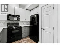 101, 3501 15 Street Sw, Calgary, AB T2T4A4 Photo 13