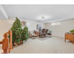 432 Rooney Cr Nw, Edmonton, AB T6R1C8 Photo 58