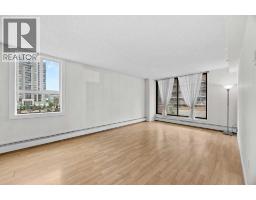 301, 1240 12 Avenue Sw, Calgary, AB T3C0P3 Photo 12