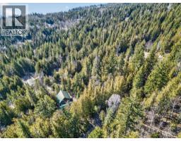 Vickers Trail Lot# 7, Anglemont, BC V0E1M8 Photo 11