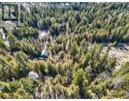 Vickers Trail Lot# 7, Anglemont, BC V0E1M8 Photo 12