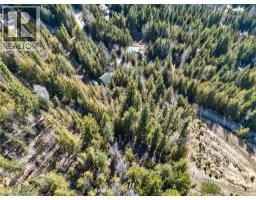 Vickers Trail Lot# 7, Anglemont, BC V0E1M8 Photo 13