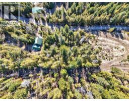 Vickers Trail Lot# 7, Anglemont, BC V0E1M8 Photo 14