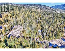 Vickers Trail Lot# 7, Anglemont, BC V0E1M8 Photo 20