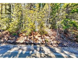 Vickers Trail Lot# 7, Anglemont, BC V0E1M8 Photo 21