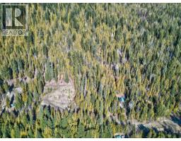Vickers Trail Lot# 7, Anglemont, BC V0E1M8 Photo 6